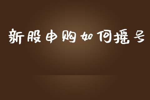 新股申购如何摇号_https://m.fsyjjx.cn_期货保证金计算_第1张