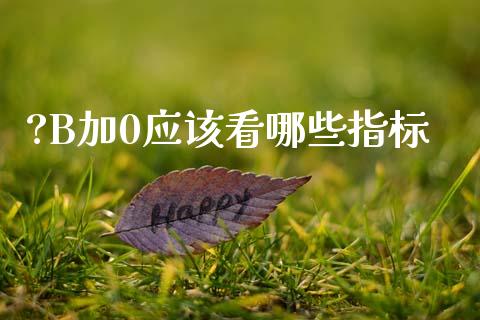 ?B加0应该看哪些指标_https://m.fsyjjx.cn_期货保证金_第1张