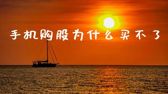 手机购股为什么买不了_https://m.fsyjjx.cn_期货如何开户_第1张
