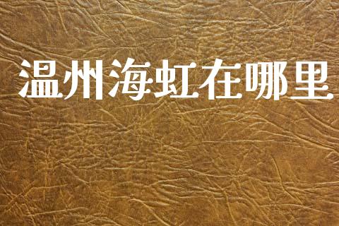 温州海虹在哪里_https://m.fsyjjx.cn_期货保证金_第1张