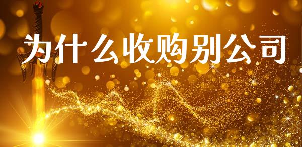 为什么收购别公司_https://m.fsyjjx.cn_期货如何开户_第1张