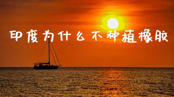 印度为什么不种植橡胶_https://m.fsyjjx.cn_期货如何开户_第1张