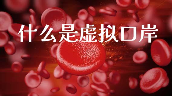 什么是虚拟口岸_https://m.fsyjjx.cn_股指期货保证金_第1张