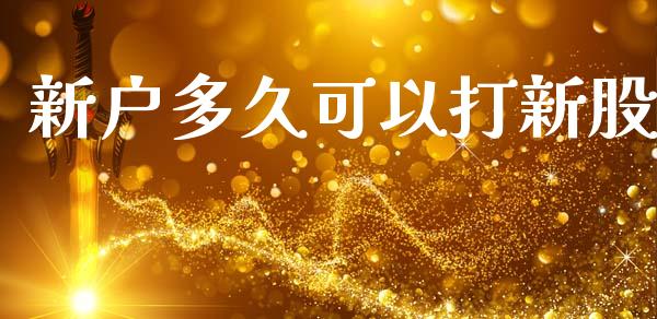 新户多久可以打新股_https://m.fsyjjx.cn_股指期货保证金_第1张