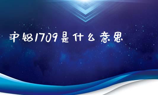 沪铝1709是什么意思_https://m.fsyjjx.cn_股指期货保证金_第1张