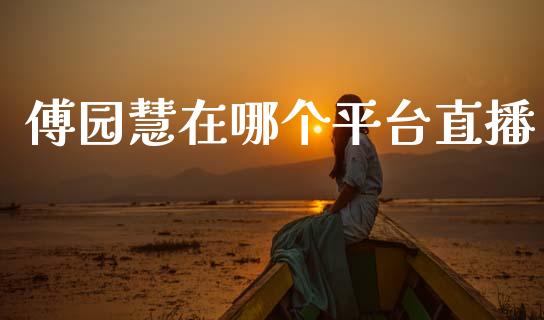 傅园慧在哪个平台直播_https://m.fsyjjx.cn_股指期货保证金_第1张