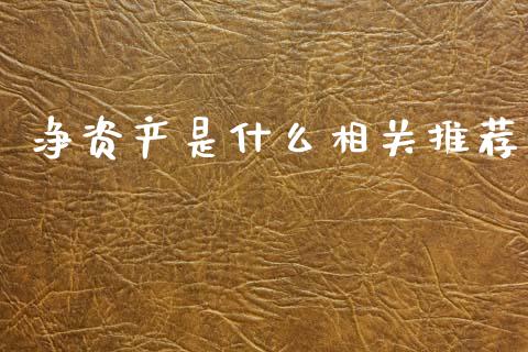 净资产是什么相关推荐_https://m.fsyjjx.cn_期货保证金_第1张