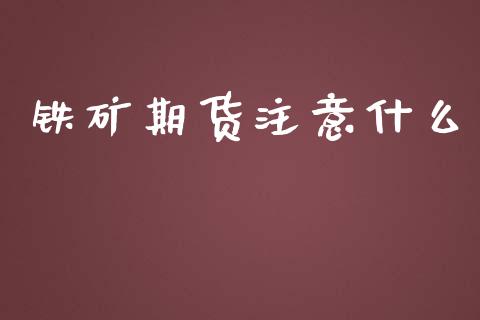 铁矿期货注意什么_https://m.fsyjjx.cn_期货保证金计算_第1张