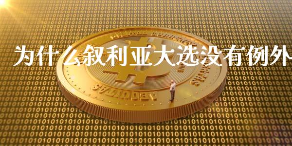 为什么叙利亚大选没有例外_https://m.fsyjjx.cn_期货保证金计算_第1张