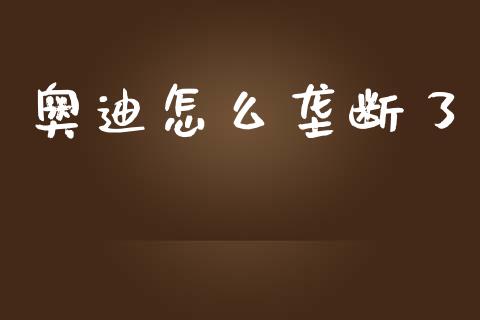 奥迪怎么垄断了_https://m.fsyjjx.cn_期货如何开户_第1张