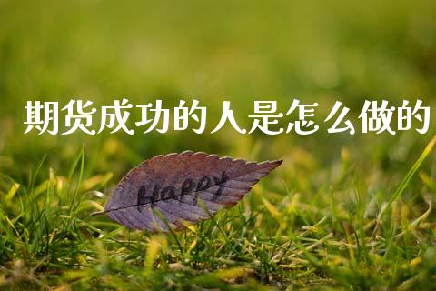 期货成功的人是怎么做的_https://m.fsyjjx.cn_期货保证金_第1张