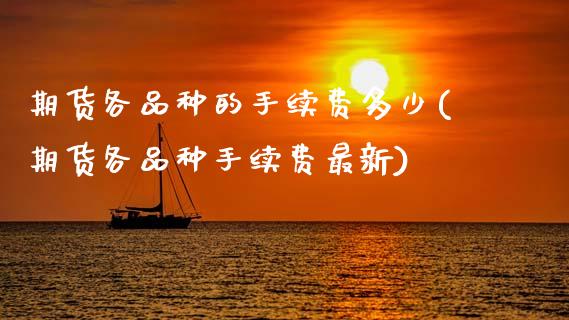 期货各品种的手续费多少(期货各品种手续费最新)_https://m.fsyjjx.cn_期货保证金_第1张