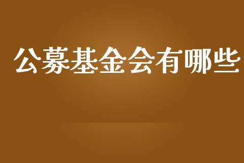公募基金会有哪些_https://m.fsyjjx.cn_期货保证金_第1张