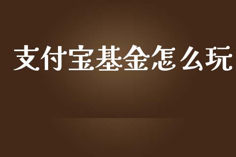 支付宝基金怎么玩_https://m.fsyjjx.cn_期货保证金计算_第1张