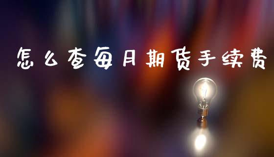 怎么查每月期货手续费_https://m.fsyjjx.cn_股指期货保证金_第1张