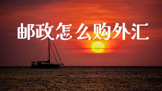 邮政怎么购外汇_https://m.fsyjjx.cn_期货保证金_第1张