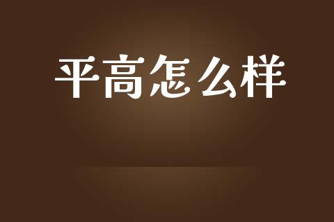 平高怎么样_https://m.fsyjjx.cn_期货保证金_第1张