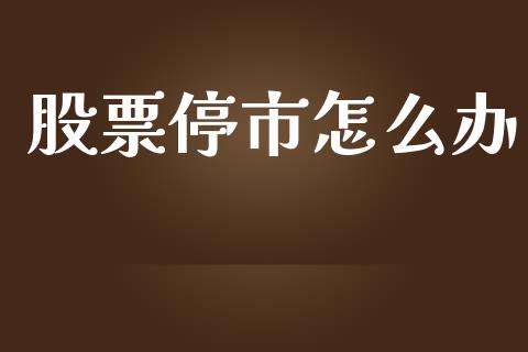 股票停市怎么办_https://m.fsyjjx.cn_股指期货保证金_第1张