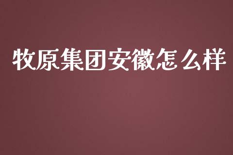 牧原集团安徽怎么样_https://m.fsyjjx.cn_股指期货保证金_第1张