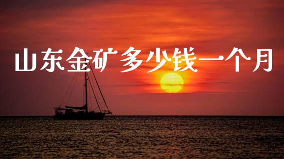 山东金矿多少钱一个月_https://m.fsyjjx.cn_期货保证金_第1张