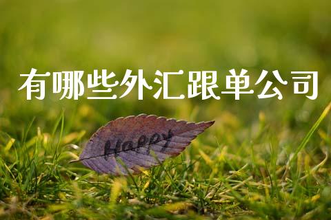 有哪些外汇跟单公司_https://m.fsyjjx.cn_期货如何开户_第1张