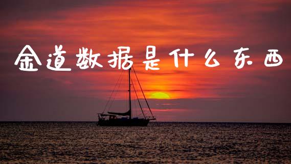 金道数据是什么东西_https://m.fsyjjx.cn_股指期货保证金_第1张