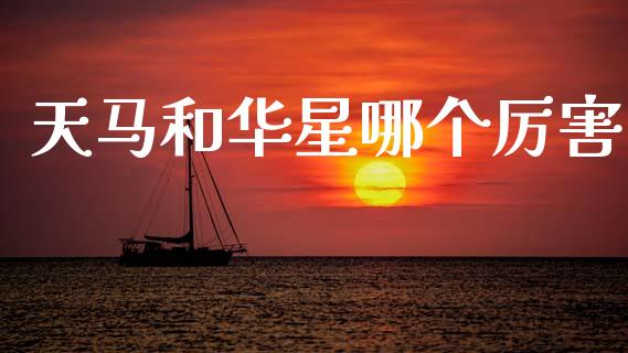 天马和华星哪个厉害_https://m.fsyjjx.cn_期货如何开户_第1张