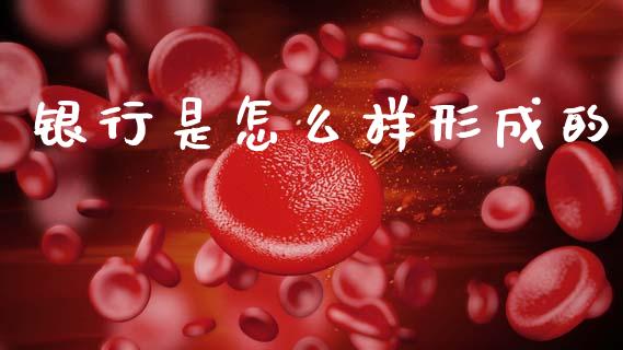 银行是怎么样形成的_https://m.fsyjjx.cn_期货保证金计算_第1张