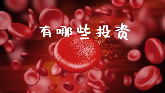 有哪些投资_https://m.fsyjjx.cn_期货如何开户_第1张
