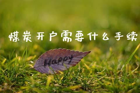 煤炭开户需要什么手续_https://m.fsyjjx.cn_期货保证金计算_第1张