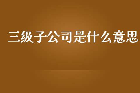 三级子公司是什么意思_https://m.fsyjjx.cn_期货保证金_第1张