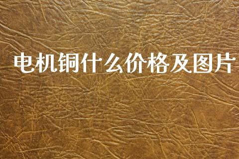 电机铜什么价格及图片_https://m.fsyjjx.cn_期货如何开户_第1张