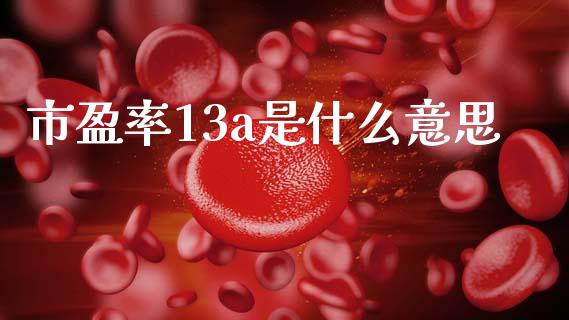 市盈率13a是什么意思_https://m.fsyjjx.cn_期货保证金_第1张