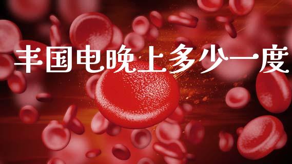 丰国电晚上多少一度_https://m.fsyjjx.cn_股指期货保证金_第1张