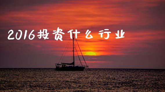 2016投资什么行业_https://m.fsyjjx.cn_股指期货保证金_第1张