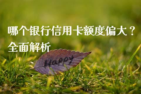 哪个银行信用卡额度偏大？全面解析_https://m.fsyjjx.cn_股指期货保证金_第1张