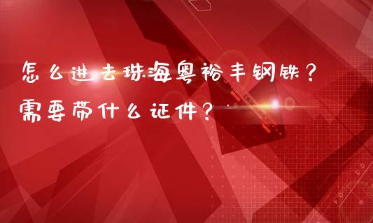 怎么进去珠海粤裕丰钢铁？需要带什么证件？_https://m.fsyjjx.cn_股指期货保证金_第1张