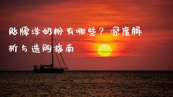 贴牌洋奶粉有哪些？深度解析与选购指南_https://m.fsyjjx.cn_期货保证金_第1张
