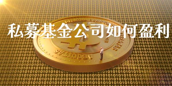 私募基金公司如何盈利_https://m.fsyjjx.cn_期货保证金_第1张