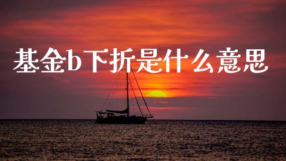 基金b下折是什么意思_https://m.fsyjjx.cn_股指期货保证金_第1张