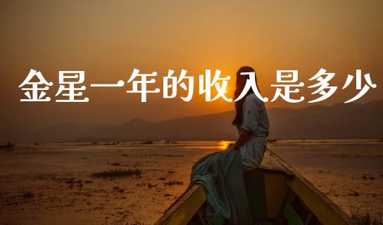 金星一年的收入是多少_https://m.fsyjjx.cn_股指期货保证金_第1张