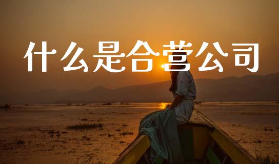 什么是合营公司_https://m.fsyjjx.cn_期货保证金计算_第1张