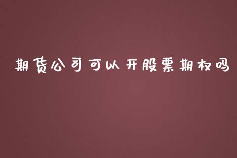 期货公司可以开股票期权吗_https://m.fsyjjx.cn_股指期货保证金_第1张