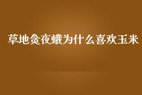 草地贪夜蛾为什么喜欢玉米_https://m.fsyjjx.cn_期货保证金计算_第1张