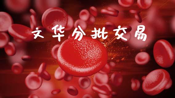 文华分批交易_https://m.fsyjjx.cn_期货保证金计算_第1张
