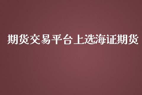期货交易平台上选海证期货_https://m.fsyjjx.cn_期货如何开户_第1张