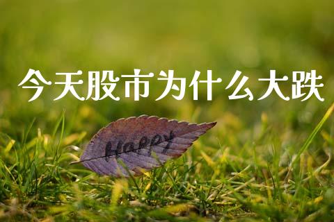 今天股市为什么大跌_https://m.fsyjjx.cn_期货保证金_第1张