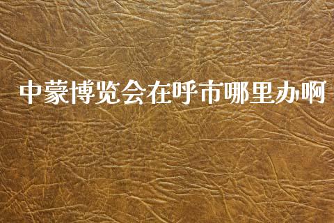中蒙博览会在呼市哪里办啊_https://m.fsyjjx.cn_期货如何开户_第1张