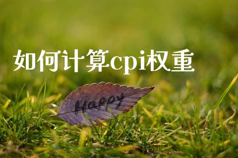 如何计算cpi权重_https://m.fsyjjx.cn_期货保证金计算_第1张