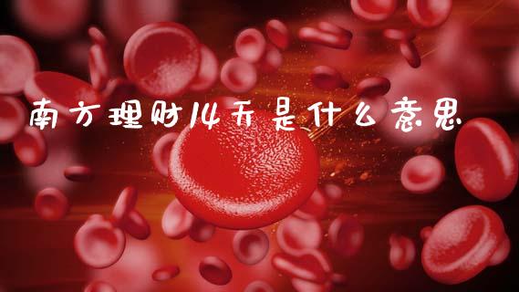 南方理财14天是什么意思_https://m.fsyjjx.cn_股指期货保证金_第1张
